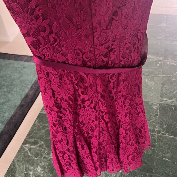 THEIA Raspberry Red Cocktail Lace Dress - Picture 5 of 7